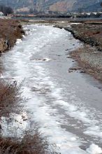 污染生态化学-河流污染